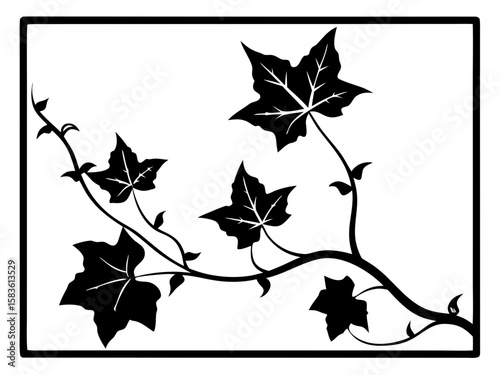 A decorative vector illustration featuring a creeping ivy leaf border and silhouette with natural, organic edges perfect for elegant design projects.