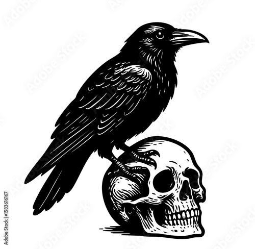 Raven on Skull, Gothic Black and White Illustration