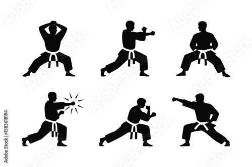 Karate practitioners performing martial arts stances and strikes silhouette black and white