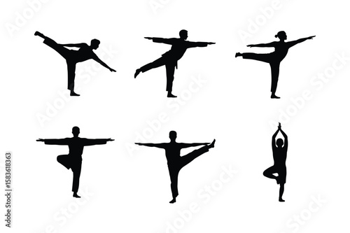 Martial arts and yoga poses silhouettes balance