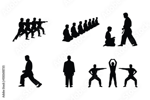 Martial arts practitioners performing various stances and exercises karate judo