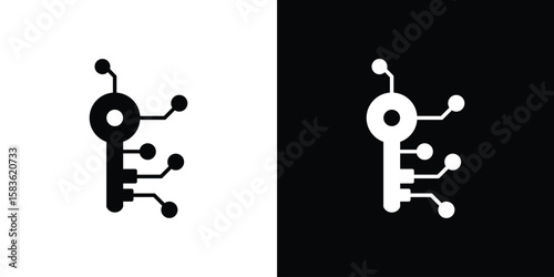Digital key icon. Simple high quality pictogram. Modern solid style