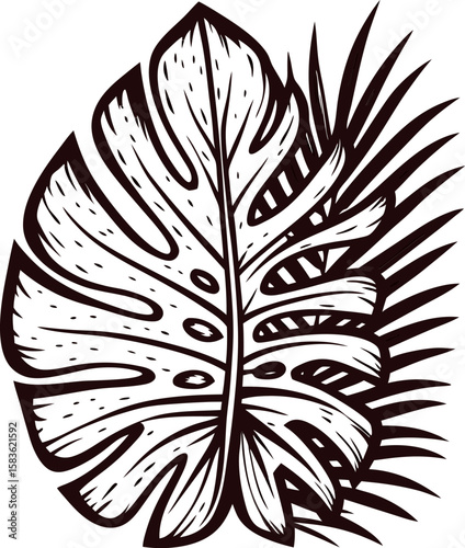 Hand drawn monstera and palm leaves illustration in black and white vintage botanical