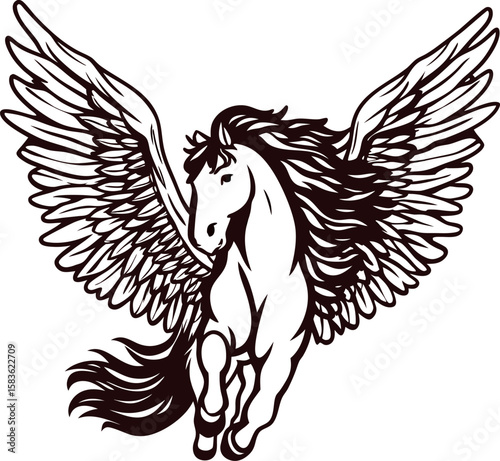 Mythical winged horse illustration in vintage engraving with detailed feathers and flowing mane