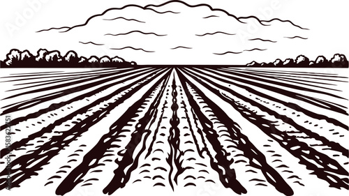 Plowed farmland field horizon with furrows and clouded sky engraved illustration for agriculture and rural landscapes