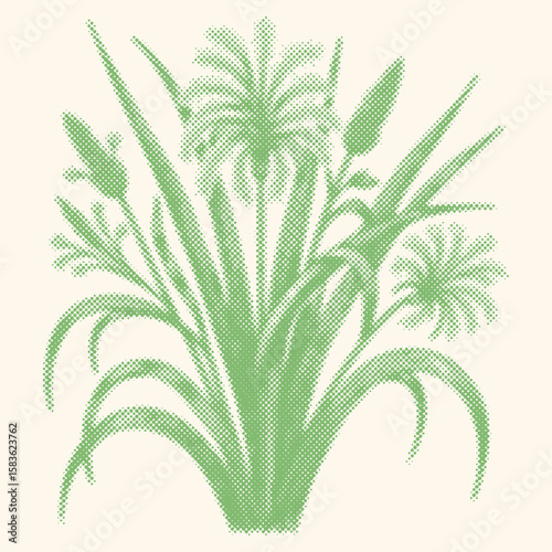  Green Color Cane Flower Engraving Vector Illustration | Canvas Template Stamp Style | Halftone Vintage Botanical Nature Design for Decorative Print, Poster, Textile, or Digital Art Use
