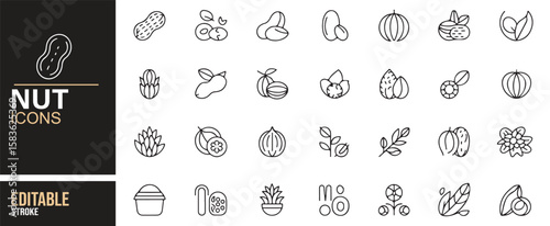 Icon Set Featuring Various Nuts, Seeds, and Healthy Snack Foods in Minimal Design