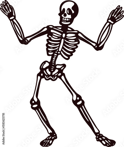 Dancing human skeleton with raised arms isolated on white background, detailed spooky anatomical illustration