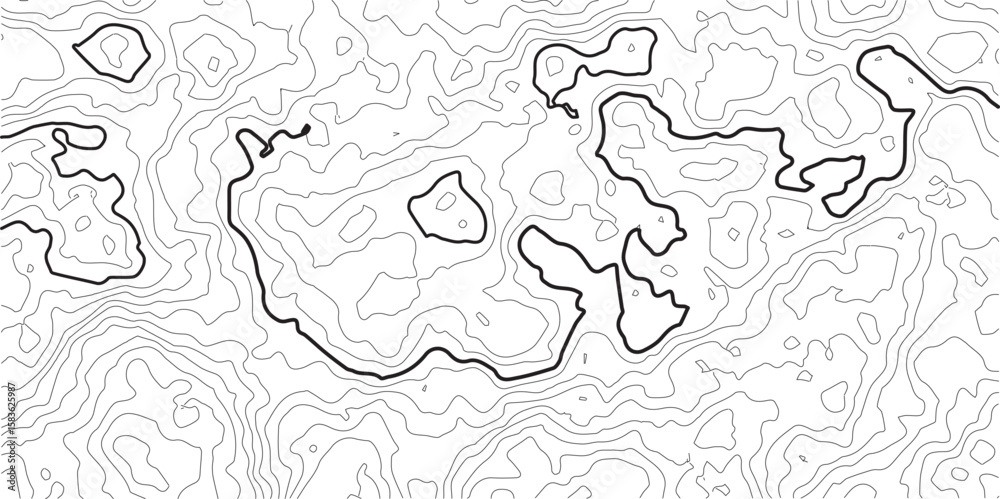 Fototapeta premium Geographic grid map, stock vector illustration, topographic line contour map background,