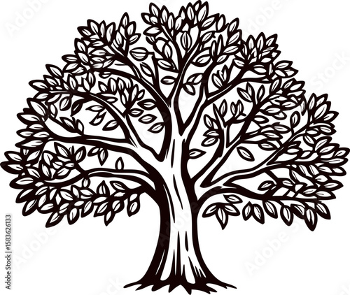 Intricate hand drawn oak tree with detailed branches and dense foliage isolated on white background illustration