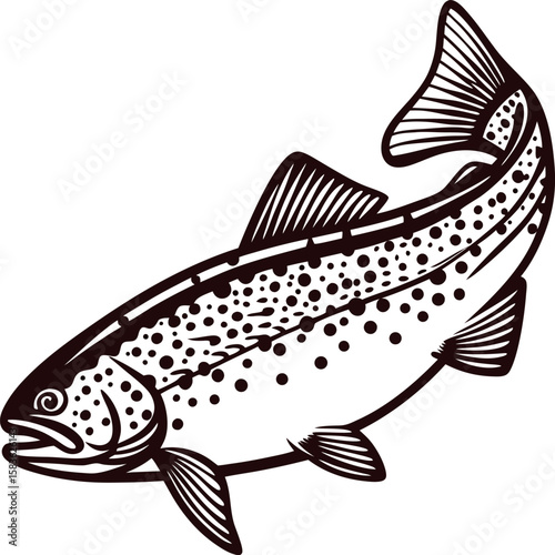 Hand drawn trout fish illustration in vintage engraving isolated on white background