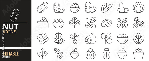 Collection of Nut and Snack Icons for Organic, Plant-Based, and Healthy Foods