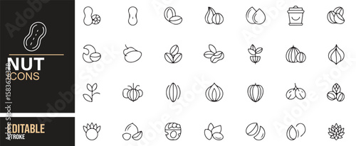 Nut and Seed Icons Set Featuring Natural Snacks, Energy Foods, and Protein