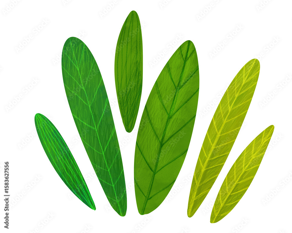 Naklejka premium Hand-drawn leaves and bushes illustration clipart. Decorative nature elements for nursery wall art, kids’ projects, baby prints, garden and farm scenes, educational materials