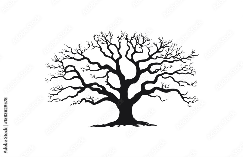 Obraz premium Silhouette of a large, old tree with prominent branches isolated on a white background