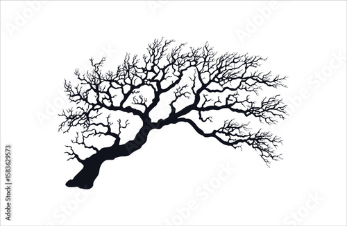 Silhouette of a bare tree with sprawling branches bends to the left on white