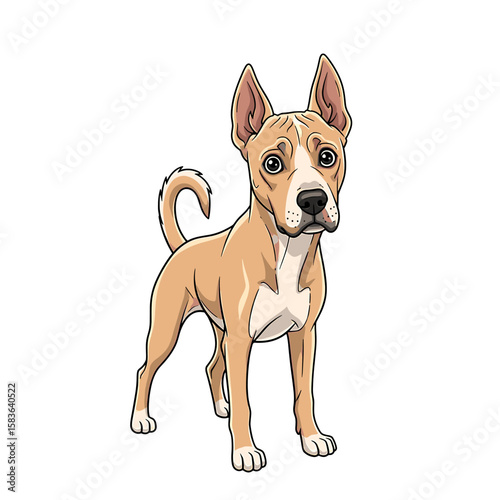 A tan and white dog stands alert, with perked ears and a curled tail, looking directly forward.