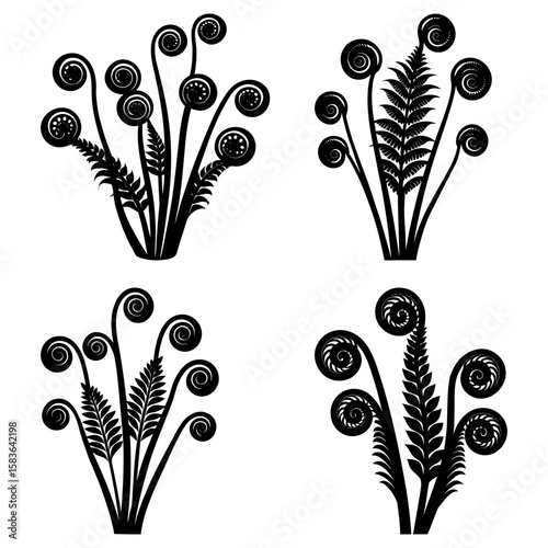 Illustration of four fern fiddleheads in black silhouette with coiled tops on a white background design element
