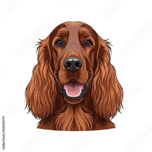 Close-up illustration of a happy Irish Setter dog's head, detailed fur and facial features.