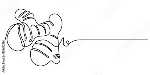 ginger continuous One line drawing art illustration organic ginger, Single one line drawing of healthy organic ginger for harvesting identity. Fresh flowering plant concept pro. 