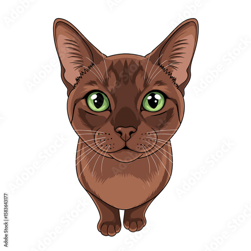 A charming illustration of a brown Abyssinian cat, sitting and gazing directly at the viewer with bright green eyes.