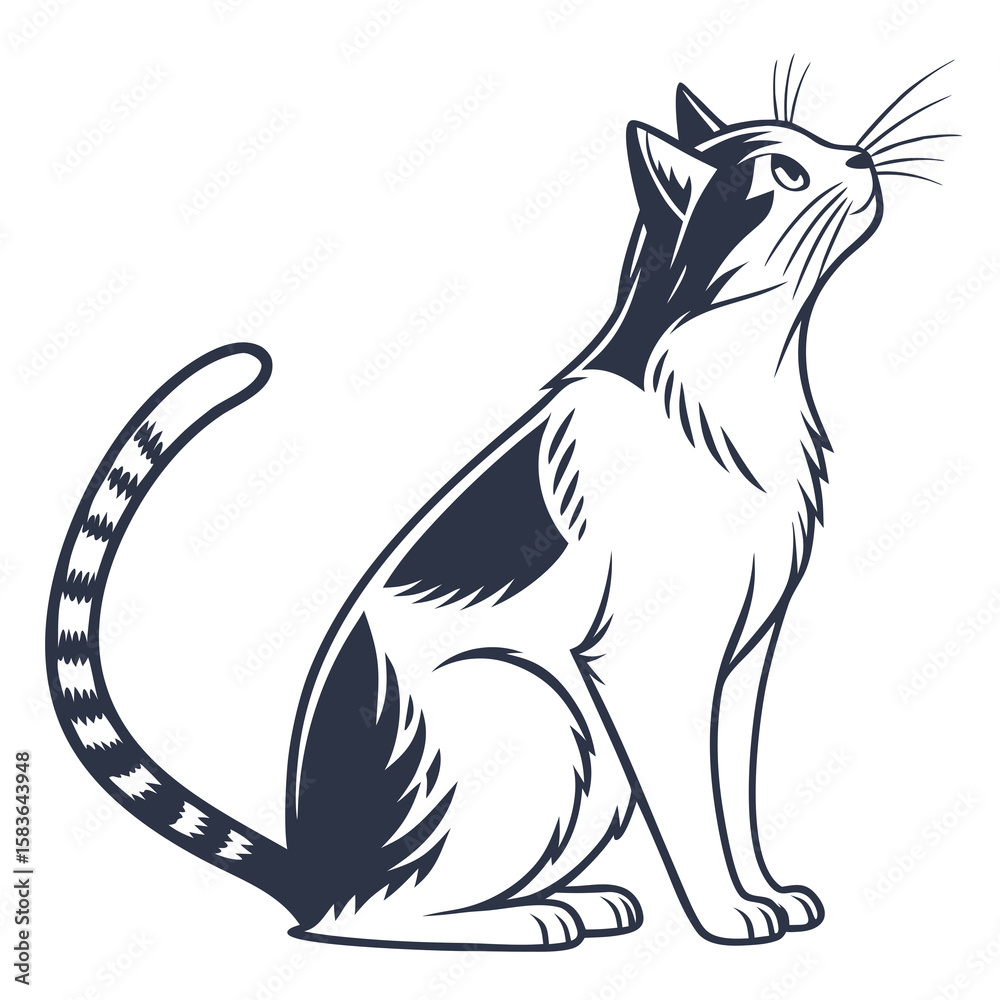 Naklejka premium cat on white backgtound