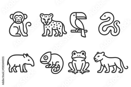 Jungle Animal Icons. Line style icons of jungle animals: monkey, leopard, toucan, snake. tapir, chameleon, frog, panther. No text,
