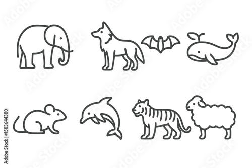 Mammal Line Icons. Line style icons of mammals: elephant, wolf, bat, whale. mouse, dolphin, tiger, sheep. No text, No labels,
