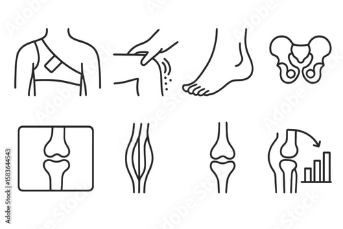 Joint Rehab Icons. Line style icons of joint rehabilitation: shoulder brace, knee therapy, ankle stretch, hip icon. joint x-ray,