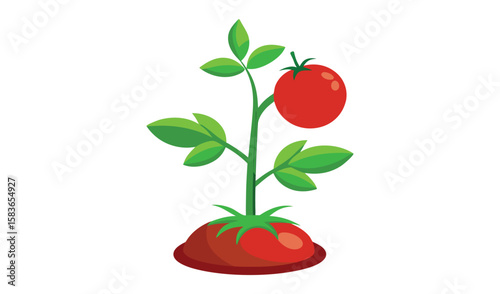A branch of fresh, ripe red cherry tomatoes with green leaves, a healthy and organic fruit growing in nature