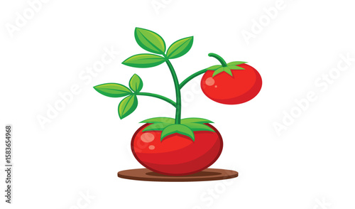 A ripe red tomato with a fresh green leaf, perfect for a healthy salad