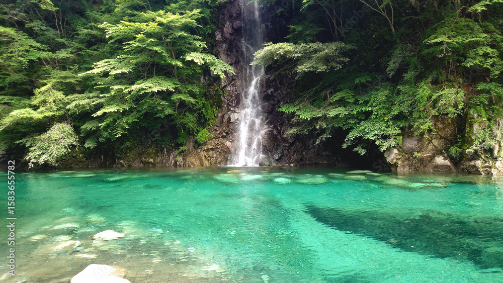 Fototapeta premium ユーシン渓谷の青く透き通った滝と川の水