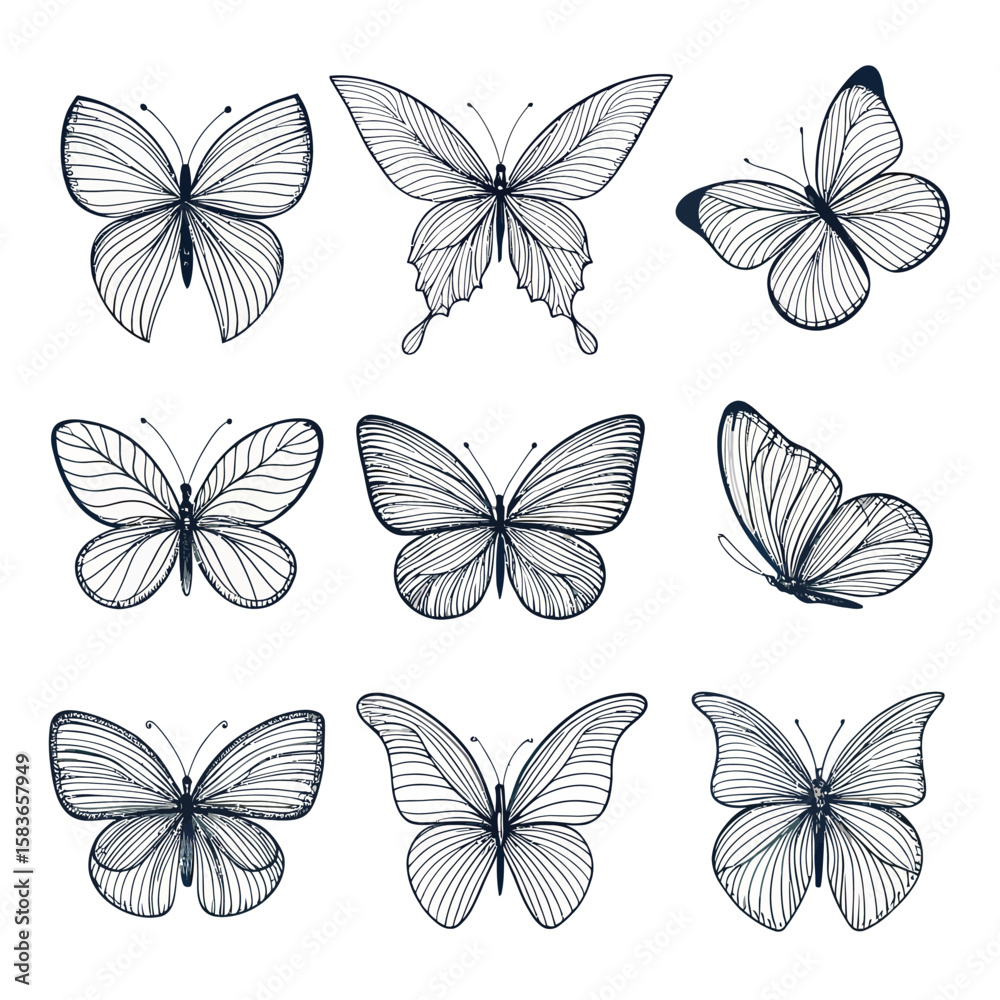 Obraz premium Hand-Drawn Minimalist Flying Butterfly Icons – Vector Set