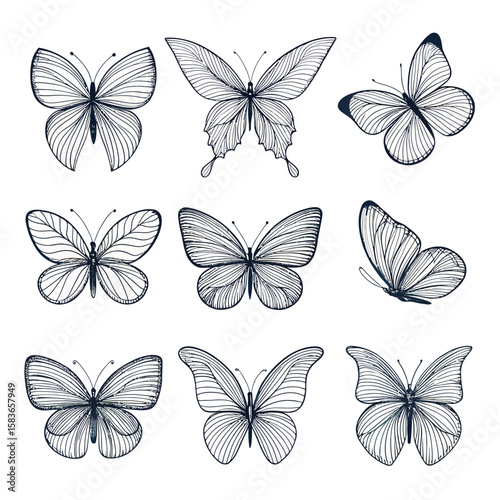 Hand-Drawn Minimalist Flying Butterfly Icons – Vector Set