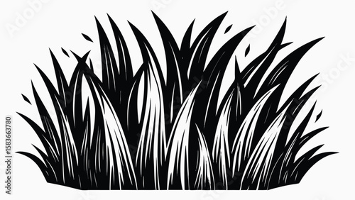 Clump of Tall Grass in Black and White Color on White Background 