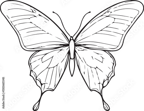 Elegant line art butterfly wings design