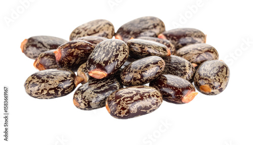 A pile of mottled brown castor beans are beautifully displayed against a solid black backdrop, showcasing their natural texture, transparent background