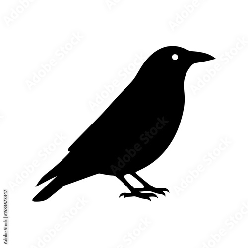 Black crow silhouette vector graphic. Simple raven bird icon isolated on a white background for design, silhouette