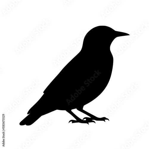 Black silhouette of a standing starling bird. Vector graphic icon of a common songbird for wildlife design., silhouette