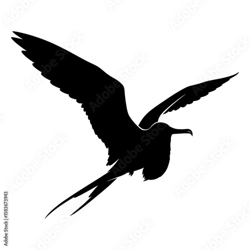 Frigatebird silhouette vector graphic in flight. Black icon of a magnificent frigatebird soaring gracefully, silhouette