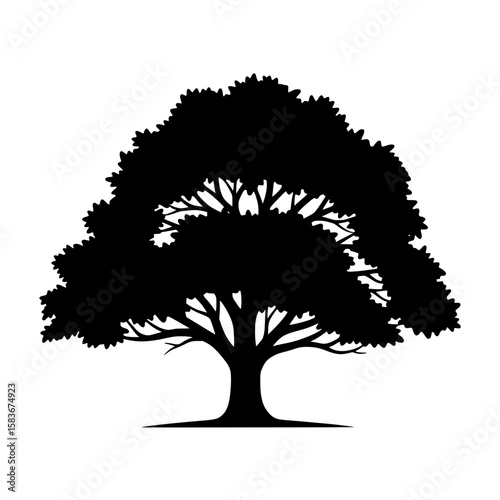 Vector graphic silhouette of a big deciduous tree with a wide canopy and sprawling branches on a white background., silhouette