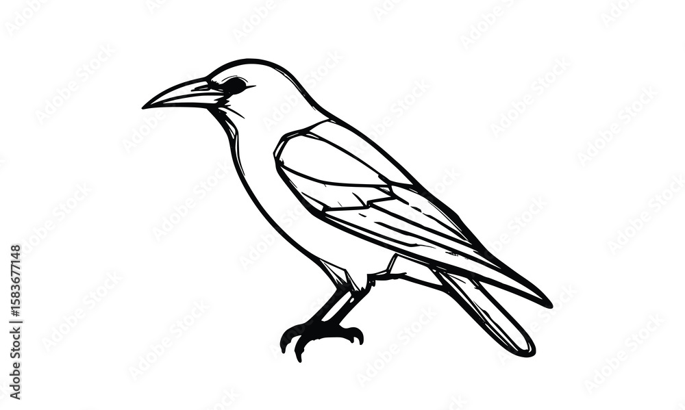 Obraz premium Minimal Crow Outline Vector – Clean Side View Bird Line Drawing