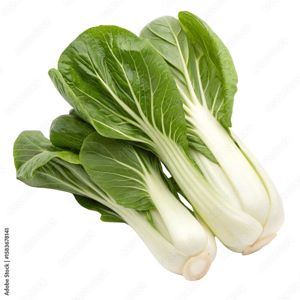 Bok choy set isolated on transparent background
Bok choy set isolated on transparent background