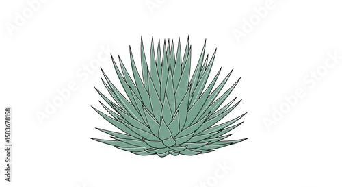 Stylized green grass plant bush growing animated rotating with a white background and soft shadows for visual effects and design projects