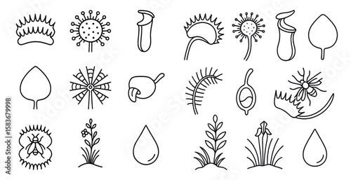 Set of plant drawings in black and white. The drawings include a flower, a leaf, a tree, and a mushroom. Scene is calm and peaceful, as the plants are depicted in a simple and elegant style