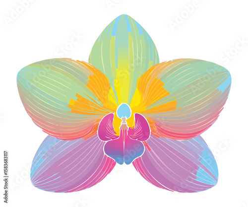 vivid rainbow orchid flower abstract illustration