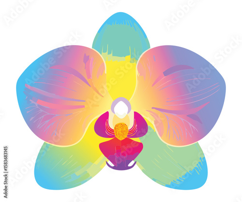 striking rainbow orchid flower abstract illustration