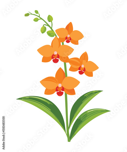 Warm Orange Orchid Flowers Autumn Illustration