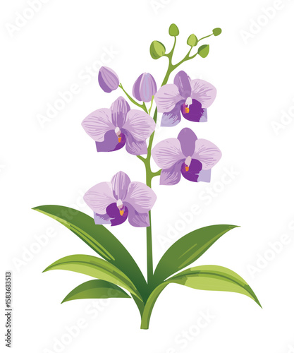 Gentle Lavender Orchid Blooms Elegant Botanical