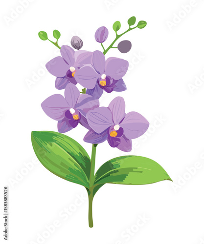 Regal Purple Orchid Flowers Elegant Illustration